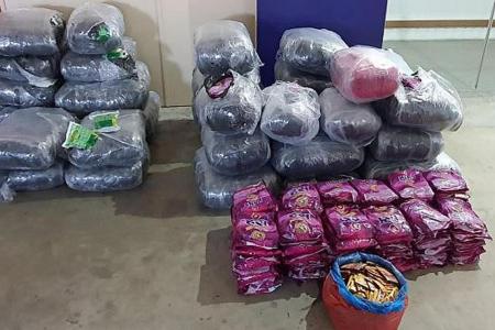 HSA seizes record haul of chewing tobacco worth $200,000 in Woodlands
