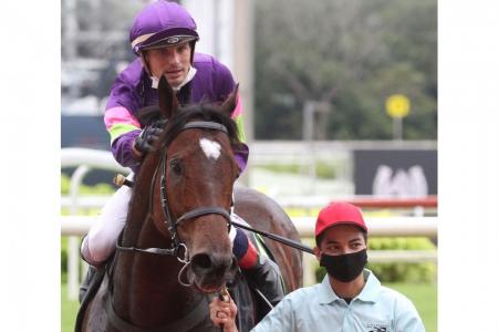 ‘The Count’ favourite in $1m Kranji Mile