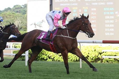Inferno should prove too hot in Singapore Guineas