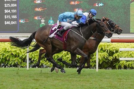 Hail Michael Clements, the new King of Kranji