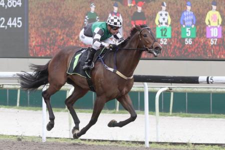 Yesterday&#039;s gallops by horses engaged at Kranji 
