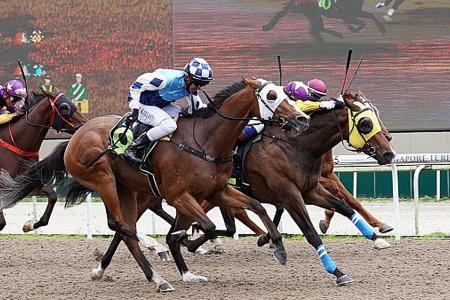 Wind Of Dubai sails home in thrilling finish