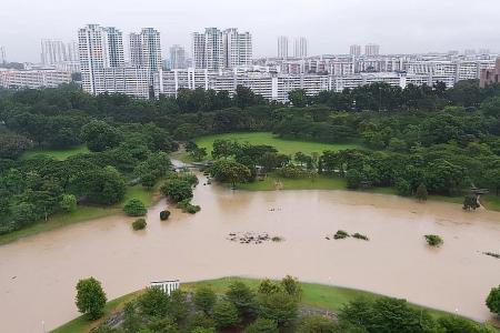 Singapore wakes up to cool temperatures and heavy rain
