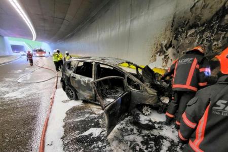 Woman rescued just before crashed car catches fire on SLE