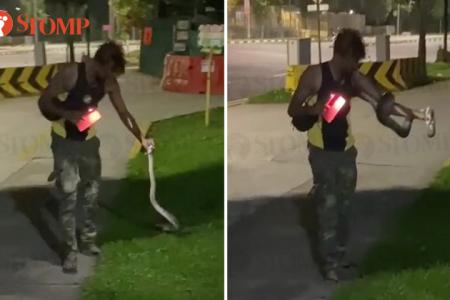 Python coils itself around man's arm after he picks it up with bare hands in Woodlands