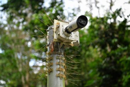 Rifle Range Road to get animal detection system in 2022