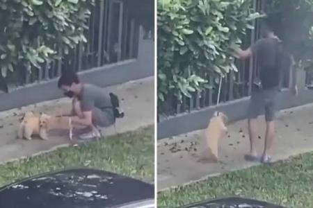 Youth runs on pavement and lifts dog off ground by its leash