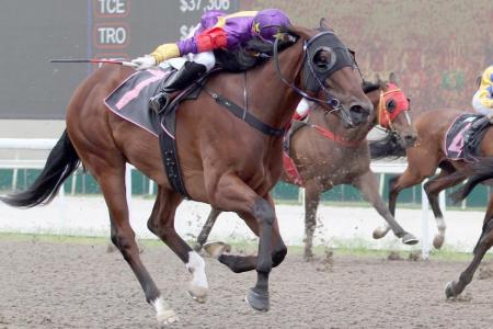 Lucky Jinsha capable of fourth straight win