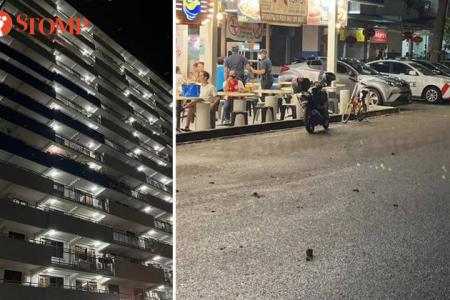 Elderly man in probe of bricks thrown from HDB block