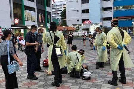 Wild boar knocks out woman in Yishun