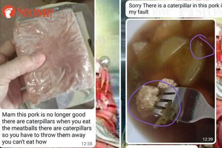 Maggots wriggle out from minced pork cooked in soup