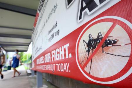 More than 4,000 dengue cases to date, NEA urges public to take precautions to prevent outbreak