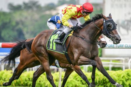 Gold Star set to shine in $1-million Kranji Mile