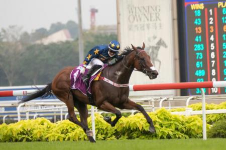 Lim's Lightning-fast Kranji Mile victory