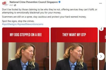 In bad taste? National Crime Prevention Council removes Amber Heard meme