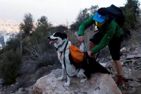 Superhero dog takes on park garbage in Chile