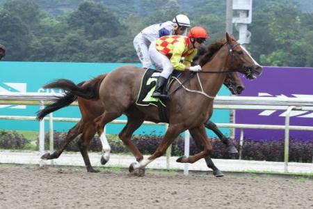 Shanghai Star set to shine