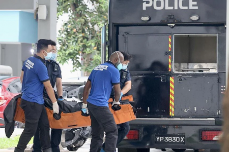 Mother and son found dead in Tampines were reclusive: MP