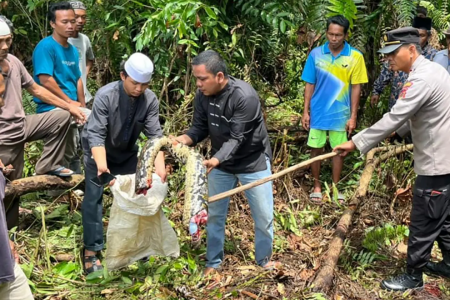 Missing woman’s body found in python that swallowed her whole