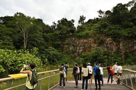 Newly opened Rifle Range Nature Park offers 7km-long trails, rain garden and a clifftop view