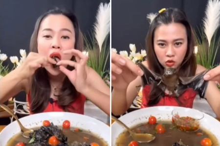 Thai woman eats bat soup on livestream, gets arrested for violating wildlife laws