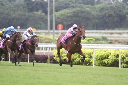 S’pore Guineas and nine features back