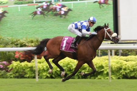 It's rebuilding time at Kranji