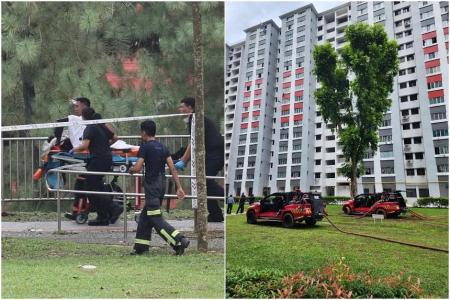Full-time NSF firefighter dies after falling unconscious while putting out blaze at Henderson Rd flat 
