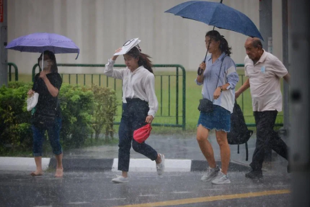 Rainy weather sees temperature drop to 24 deg C in some areas in Singapore