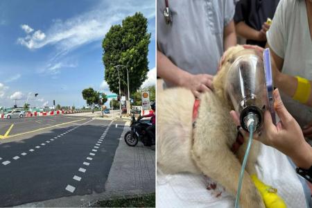 Family appeals for witnesses, dashcam footage following hit-and-run in Loyang