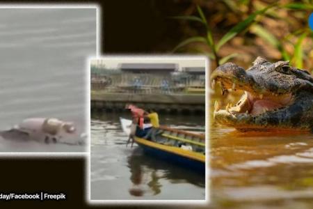 Crocodile carries body of drowned child to rescuers in Indonesia river