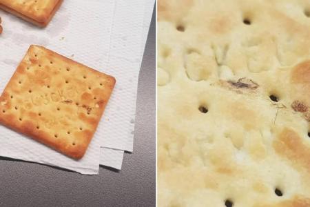 Man finds dead cockroach in biscuit; SFA investigating