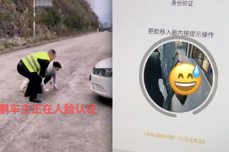 Chinese electric car makes driver 'get on all fours' for facial recognition