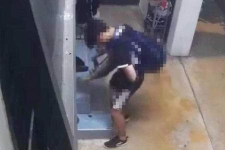 CCTV shows youth humping cat; owner makes police report