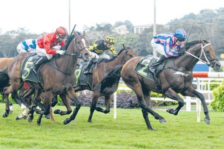 Many out to topple Lim's Kosciuszko