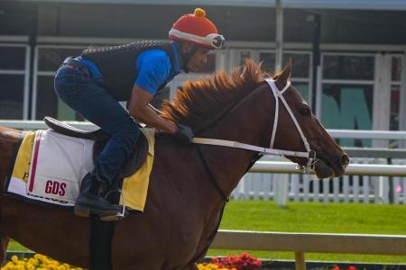 Preakness Stakes: Derby winner Mage is favourite