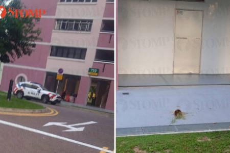 Resident calls police after flower pot falls from height in Pasir Ris