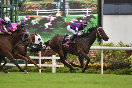 Kranji Sprint in Sky Eye's sights