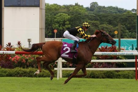 Golden Monkey set for Singapore Derby