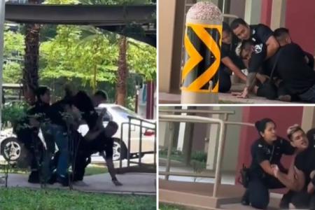 Man struggling with cops in Bukit Batok wanted by CNB, arrested for causing hurt to public servant