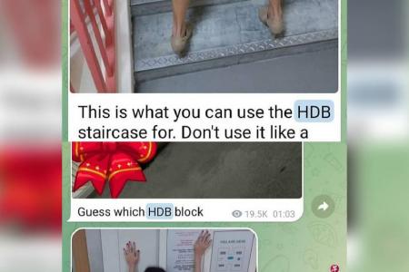 Telegram group found circulating videos of people engaging in lewd acts at HDB estates
