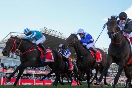 Romantic Warrior wins Cox Plate in nail-biter