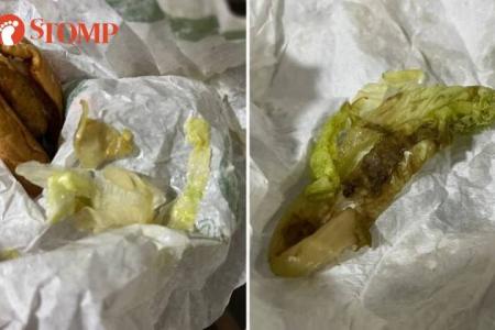 Woman shocked to find rotten lettuce in McDonald’s burger