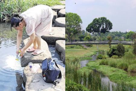 Woman seen ‘feeding fish’ in Bishan-AMK Park, says it’s ‘expired milk powder’