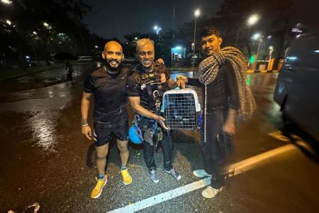 Friends rescue kitten in Bedok Reservoir storm drain during heavy rain