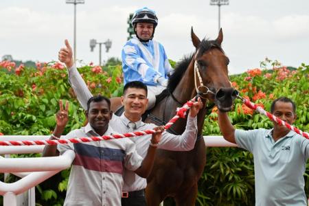 Five-star day for trainer Lim