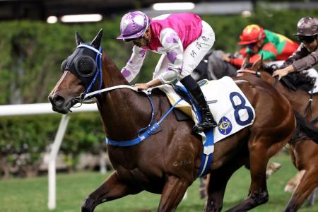 Feb 28 Hong Kong (Happy Valley) form analysis