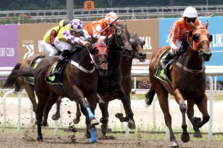 Scout shows the way for in-form Pacific Stable