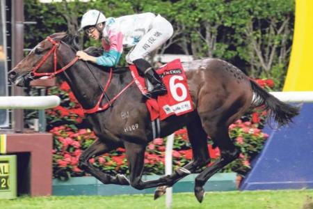 June 12 Hong Kong (Happy Valley) form analysis