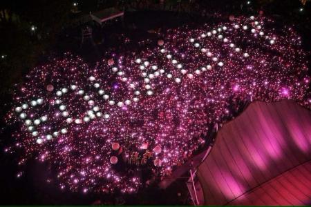 Thousands turn up for annual Pink Dot SG rally